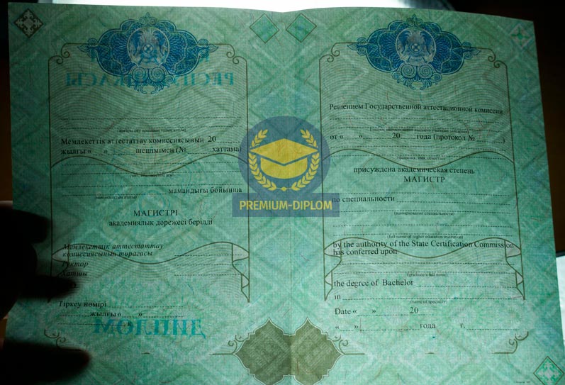 Магистр 2009 - 2026 (Казахстан) - фото