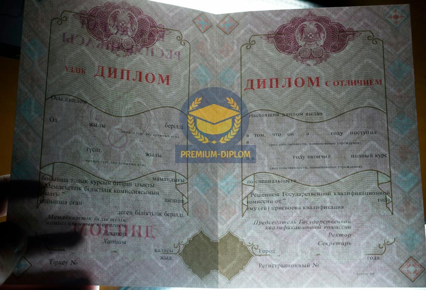 Специалист 2009-2026 с отличием (Казахстан) - фото